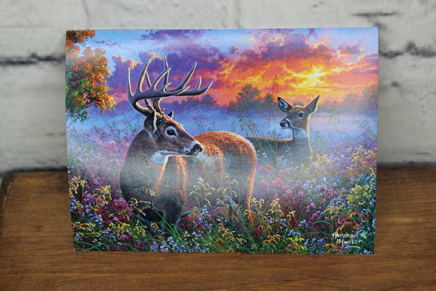 Deer sunset - birthday card
