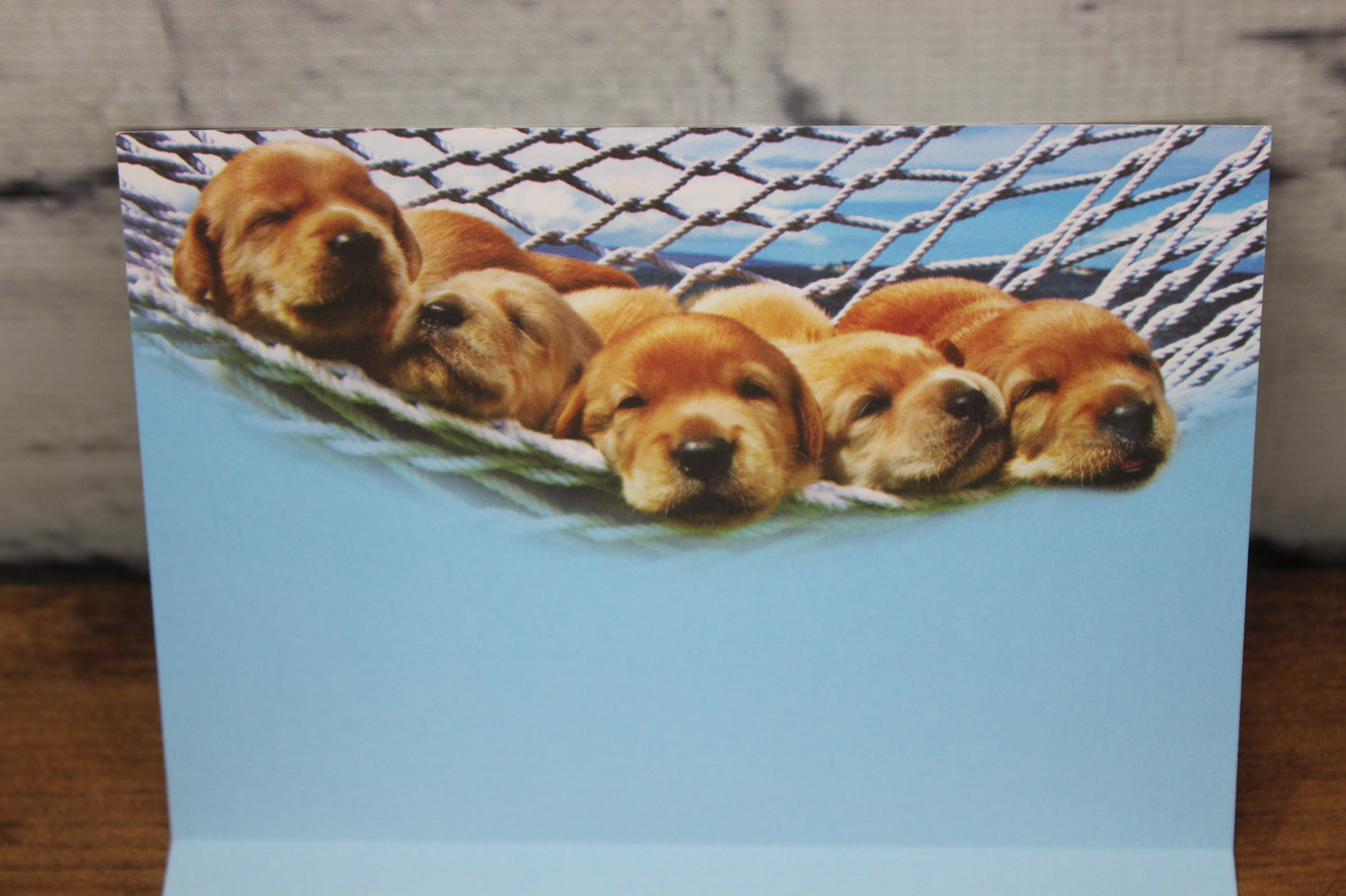 Puppy - birthday card