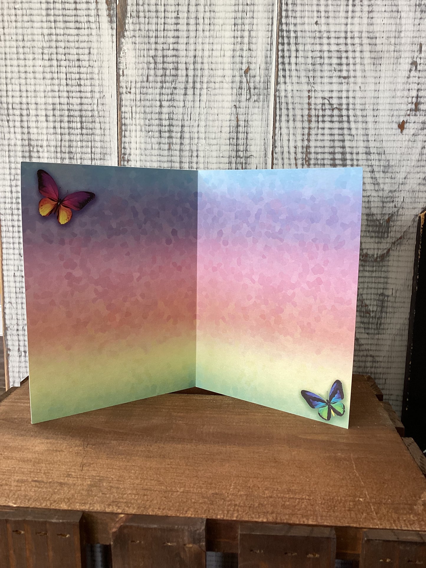 Butterfly - blank notecard
