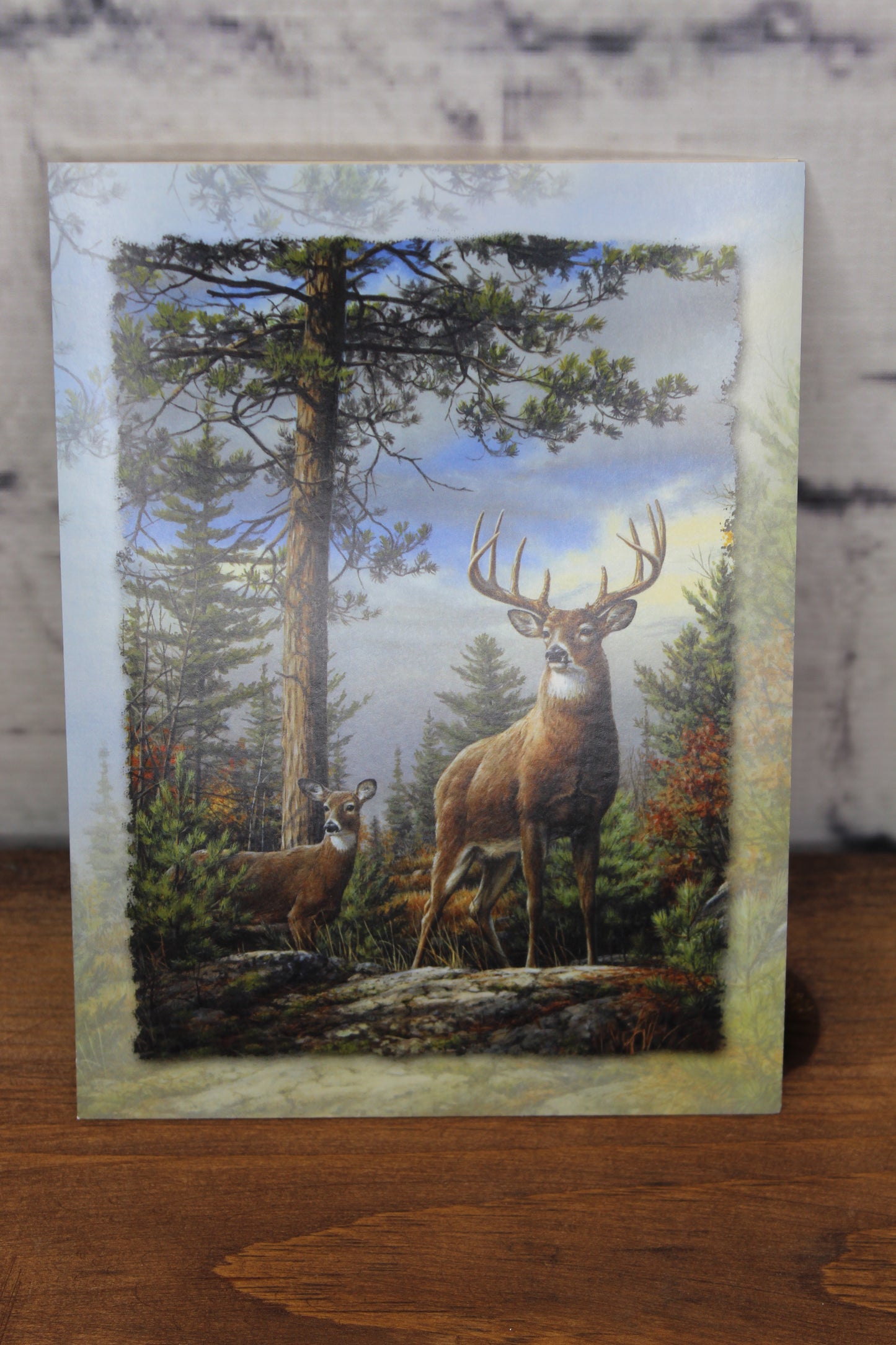 Deer birthday card