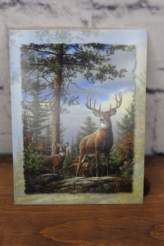 Deer birthday card