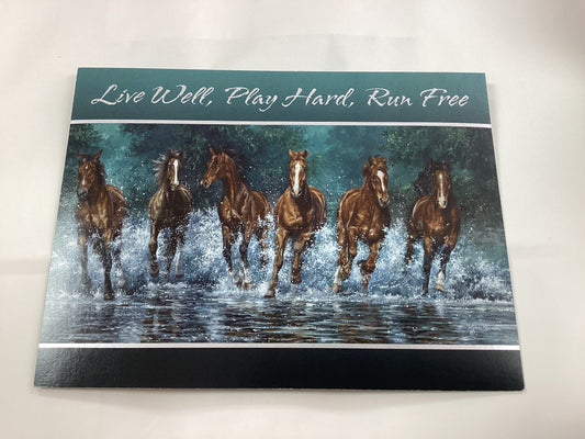 Horse birthday card