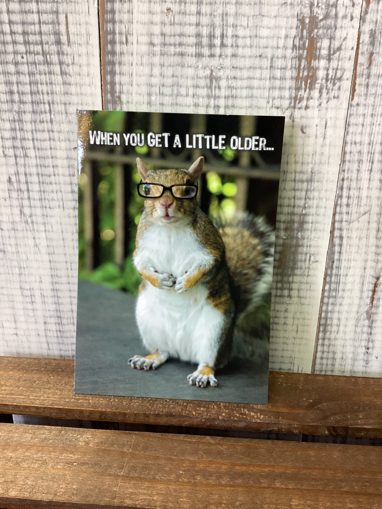 Squirrel- birthday card