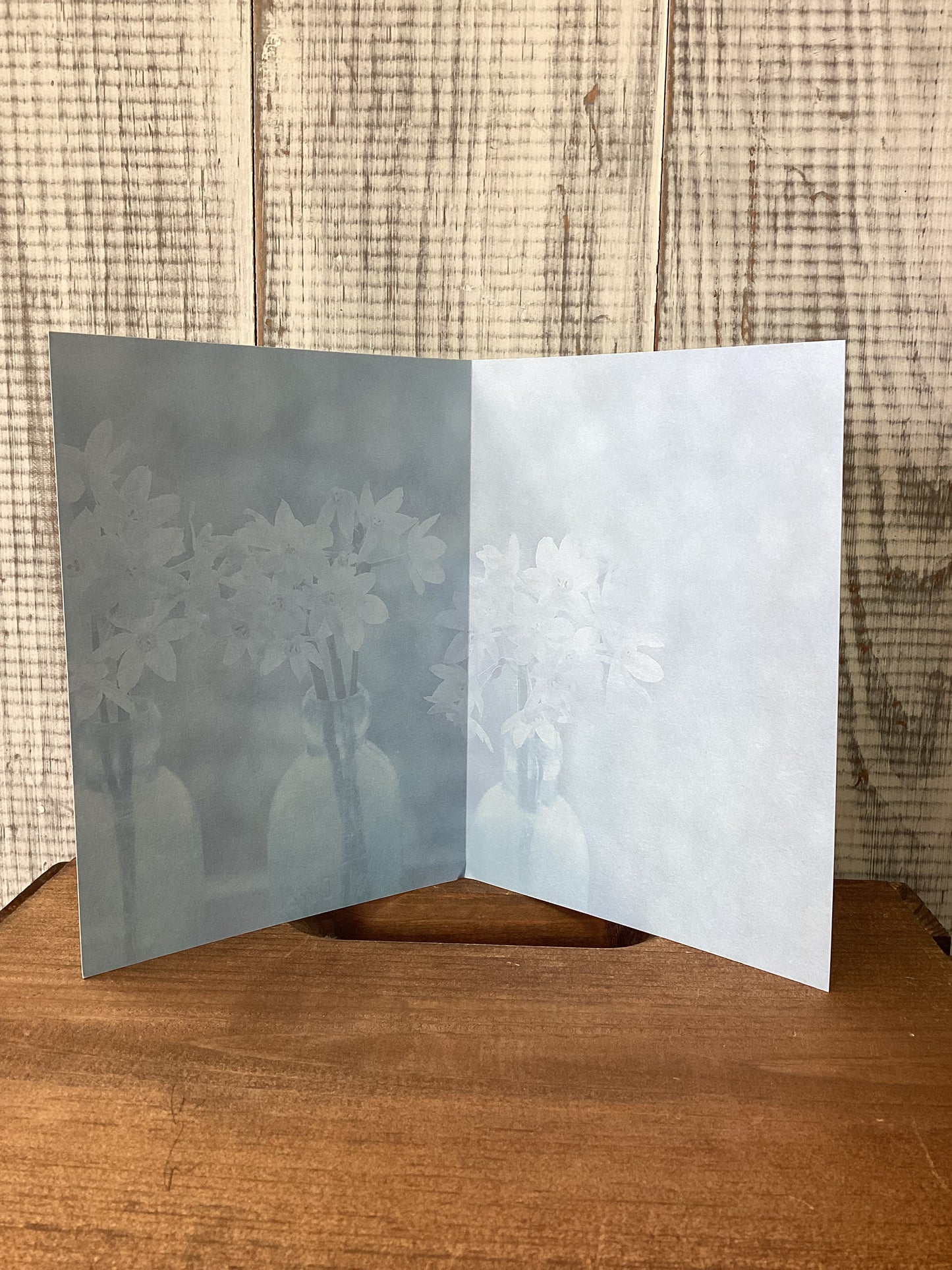 Flower - blank notecard